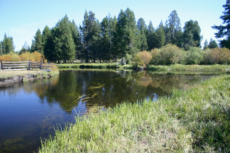 Little Deschutes River Description